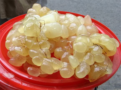 Tại sao mỡ trăn có tác dụng triệt lông?