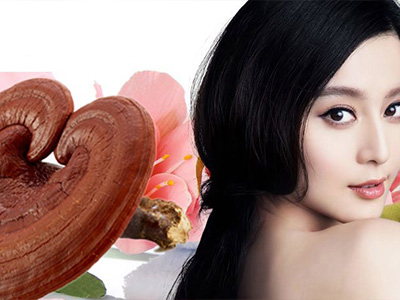Linh chi – thảo dược vàng làm trắng da