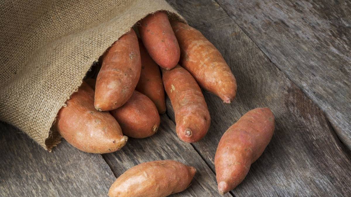 an bụng tác kinh nghiệm