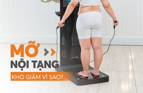 Mỡ nội tạng – Loại mỡ “ẩn” khó kiểm soát hơn bạn nghĩ